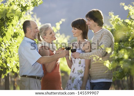 Two couples toasting wine glasses in vineyard