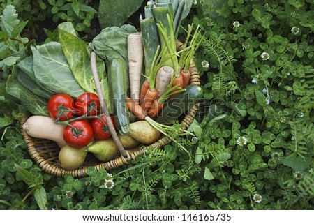 Closeup elevated view of fresh vegetables in basket surrounded by clover