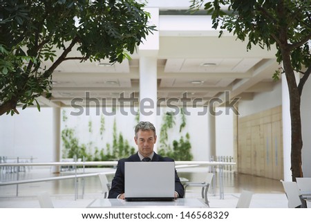 Middle aged businessman using laptop at office cafe