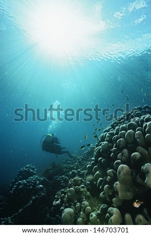 Underwater shoot of a scuba diver with rays of light streaming from surface