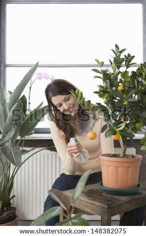 Happy young woman spraying water on orange growing on plant in house