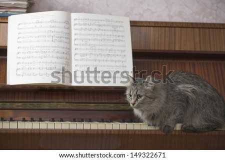Side view of cat sitting on piano keys with music sheet