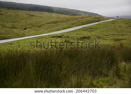 Rural road in Yorkshire Dales, Yorkshire, England