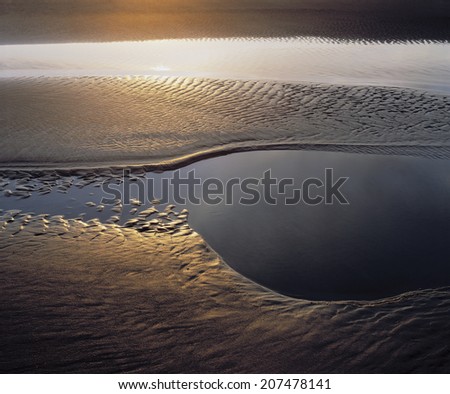 Sunlight on the Tidal Flats