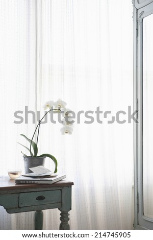 Orchid and laptop with letters on table at window