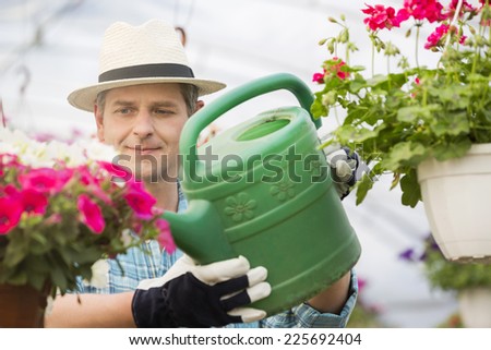 Middle-aged man watering flower plants in greenhouse