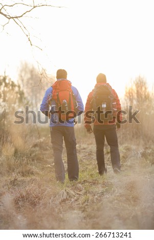 Rear view of male hikers with backpacks standing in field