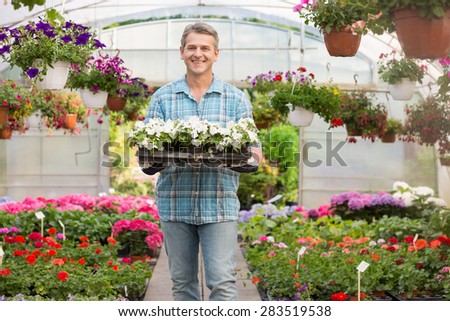 Portrait of happy gardener carrying crate with flower pots in greenhouse