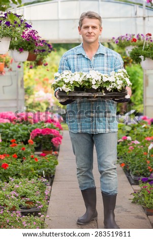 Full-length portrait of gardener carrying crate with flower pots in greenhouse