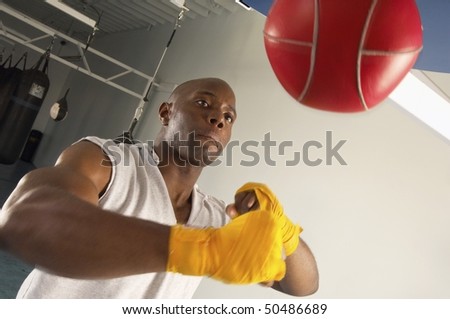 Boxer hitting speed bag in gym