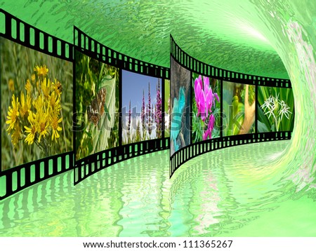Film rolls with color pictures (nature) in the tunnel.