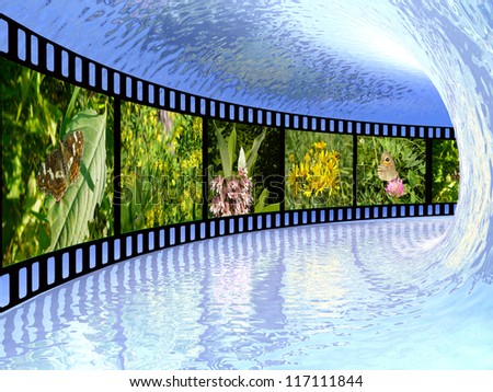Film roll with color pictures (nature) in water tunnel.