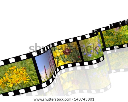 Film roll with color pictures (nature) on white background.