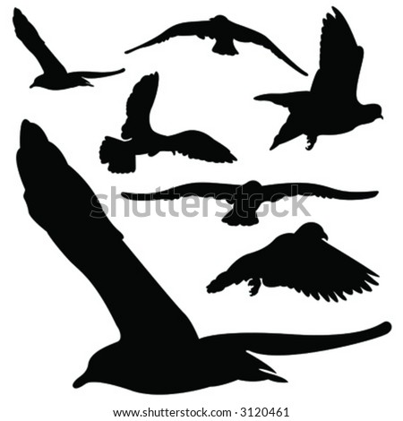 Vector Bird Set 2 - 3120461 : Shutterstock