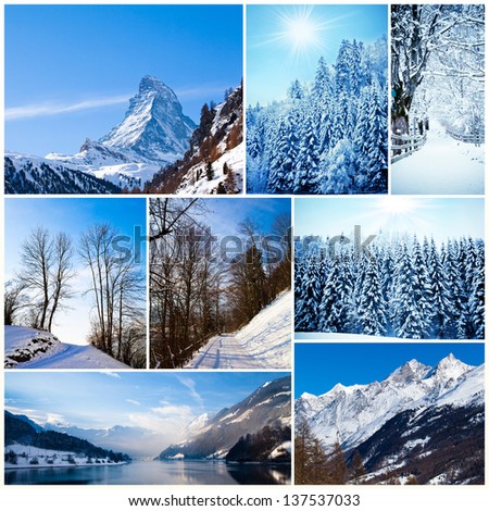 Winter collage. collection of cold weather landscapes with mountains. Trees covered with snow