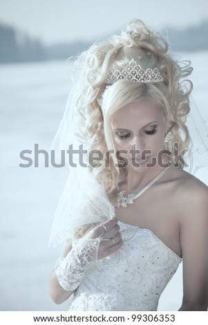 Portrait of the young beautiful bride.  Wedding portrait