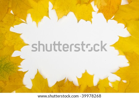 Frame built from the autumn leaves of yellow color