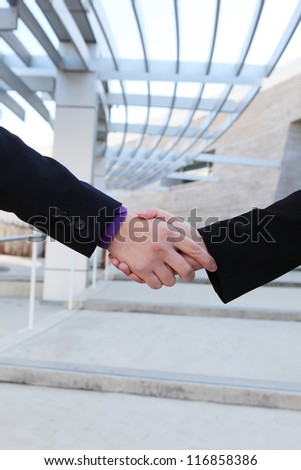 A man and woman handshake to conclude a successful business deal