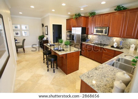 A beautiful kitchen interior inside an upscale home