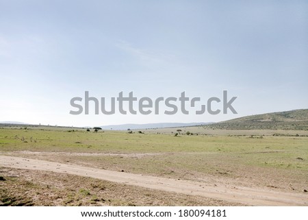 Beautiful vast open grassland of Masai Mara National Park, Kenya