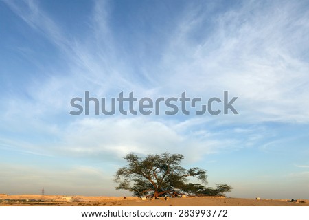 Tree of life with beautiful flaky sky, Bahrain