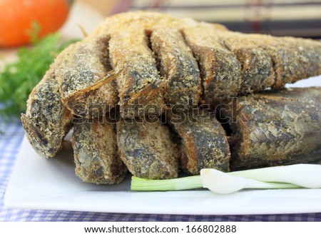 Uncooked preserved Ilish fish of Southeast Asia