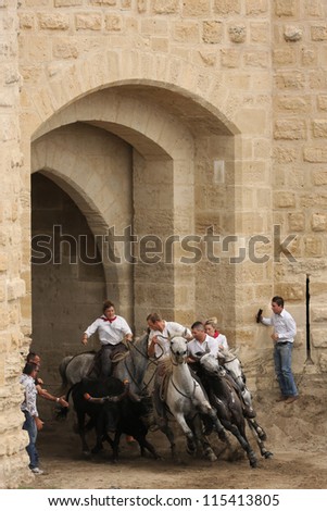 AIGUES-MORTES, FRANCE - OCTOBER 7 - Guardians drive bulls through the door of the city, in October 7, 2012 in Aigues-Mortes, France. Course camarguaise is a common genre of bullfighting in Languedoc