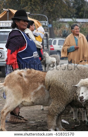 SAQISILI, ECUADOR - AUGUST 5 : At the biggest indian market of South America a woman in traditional cloth is selling sheep, August 5, 2010 in Saqisili, Ecuador