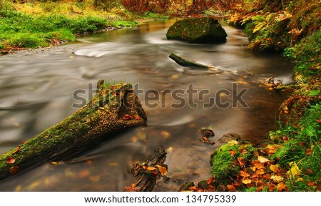 Autumn landscape, colorful leaves on trees, morning at river after rainy night.