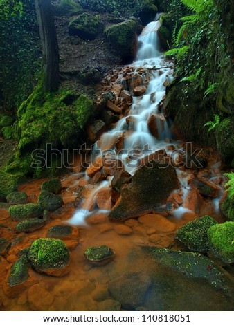 Cascade on stream of mineral water with iron sediment on green mossy boulders. Early morning in shadows below old trees.