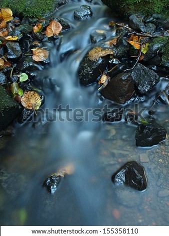 The colorful broken leaf from maple tree on basalt stones in blurred water of mountain river.