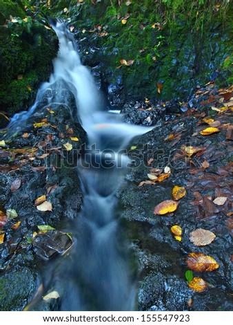 Small waterfall full of water after rain. Colorful leaves from maple tree and wild cherry laying on wet basalt rock. Stones and colorful autumn leaves