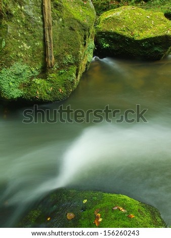 Big mossy sandstone boulder in clear mountain river, fresh green fern above water. Reflections in water level, first colorful beech leaves lay on mossy ground.