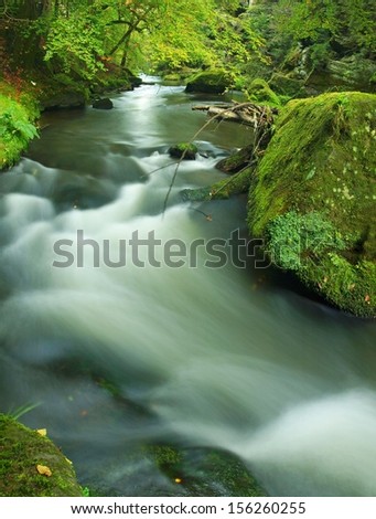Big mossy sandstone boulder in clear mountain river, fresh green fern above water. Reflections in water level, first colorful beech leaves lay on mossy ground.