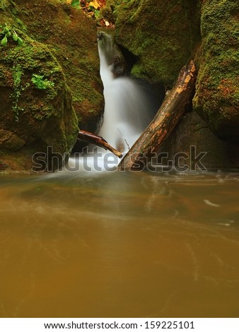 Cascade on small mountain stream, water is running over mossy sandstone boulders and bubbles create on level milky water. Colorful leaves from maple or aspen tree on stones ans into water.