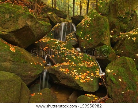 View into deep valley of mountain river with low level of water, gravel with colorful beech, aspen and maple leaves. Fresh green mossy stones and boulders on river bank after rainy day.