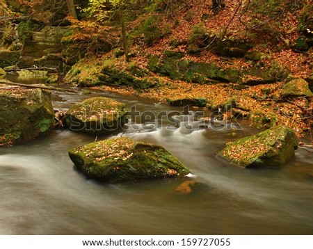 View into autumn mountain river with blurred waves,, fresh green mossy stones and boulders on river bank covered with colorful leaves from maples, beeches or aspens tree.