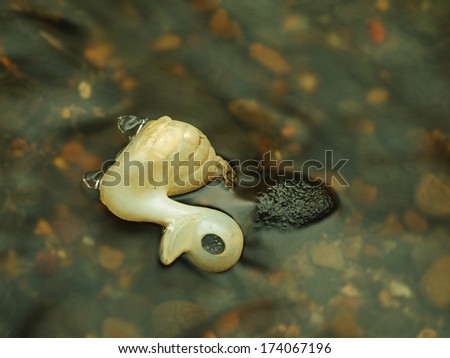 Gravel in water of mountain river with abandoned plastic toy of swan, colorful stones on background. Small pieces of ice.