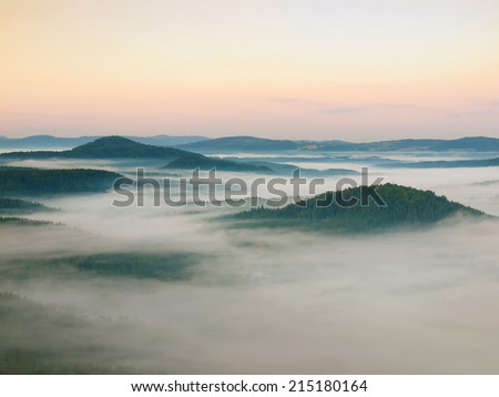 Fall mist in landscape. Cold fall morning in countryside, the fog is moving between hills and peaks of trees. Pink sky colored by rising Sun.
