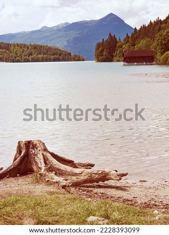 Image, Stock Photo Summer atmosphere at Walchensee in Bavaria