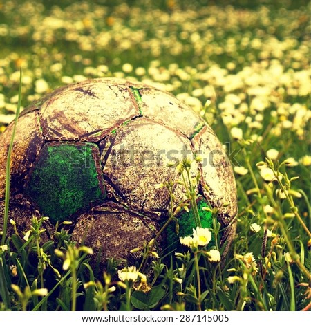 Old football ball hidden in the high grass flower and filed