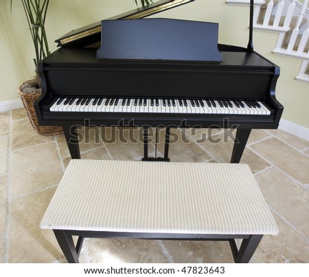 Black grand piano in luxury home.