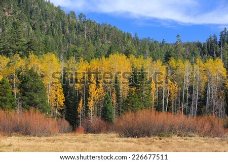 Hope Valley in fall color