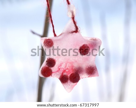 Lingonberry Ice Star