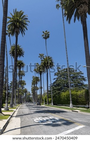 Similar – Image, Stock Photo Tall palms of Beverly Hills in Los Angeles r