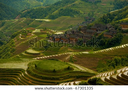 A traditional village is seen among a beautifully cascading series of rice terraces in Titian Longji, the Dragon\'s Backbone in Guanxi, China