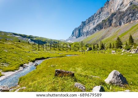 Beautiful green grass valley at high elevation at Sixt Fer A Cheval National Park with view of Tete A L'Ane Mountain in the French Alps of France. Horizontal Stock foto © 
