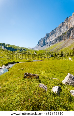 Beautiful green grass valley at high altitude at Sixt Fer A Cheval National Park with view of Tete A L'Ane Mountain in the French Alps of France. Vertical Stock foto © 