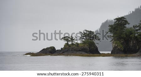 Trees on an island, Skeena-Queen Charlotte Regional District, Haida Gwaii, Graham Island, British Columbia, Canada