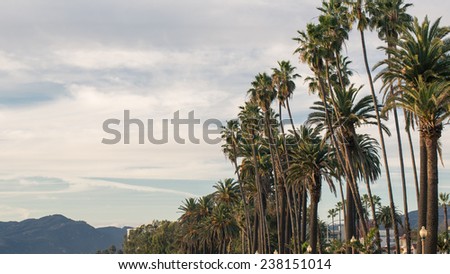 Palm Trees and Mountain off in Background on Beautiful Tropical Day in Santa Monica Los Angeles California on the West Coast Vacation